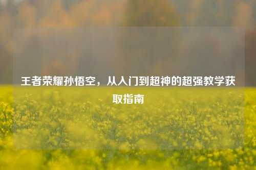 王者荣耀孙悟空,从入门到超神的超强教学获取指南