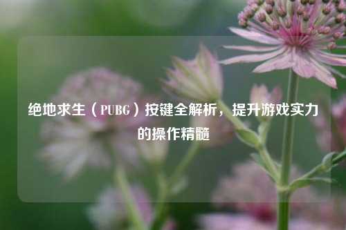 绝地求生(PUBG)按键全解析,提升游戏实力的操作精髓