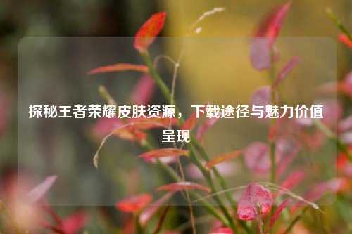 探秘王者荣耀皮肤资源，下载途径与魅力价值呈现