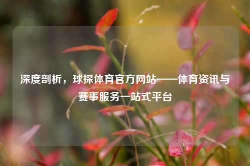 深度剖析,球探体育官方网站——体育资讯与赛事服务一站式平台