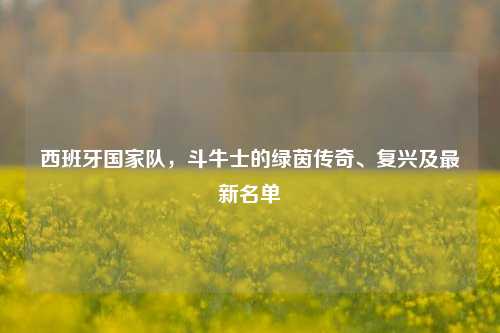 西班牙国家队，斗牛士的绿茵传奇、复兴及最新名单
