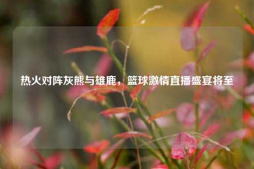 热火对阵灰熊与雄鹿，篮球激情直播盛宴将至