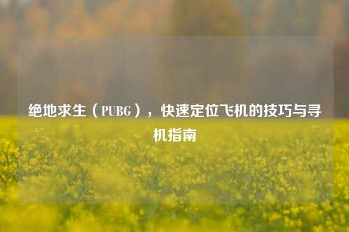 绝地求生(PUBG),快速定位飞机的技巧与寻机指南
