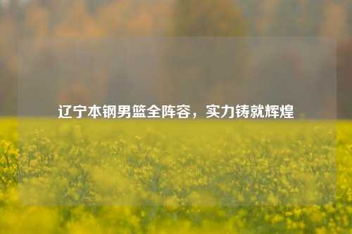 辽宁本钢男篮全阵容,实力铸就辉煌