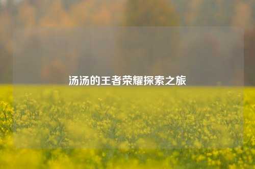 汤汤的王者荣耀探索之旅