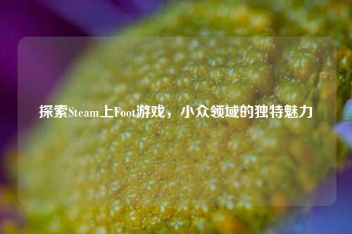 探索Steam上Foot游戏,小众领域的独特魅力