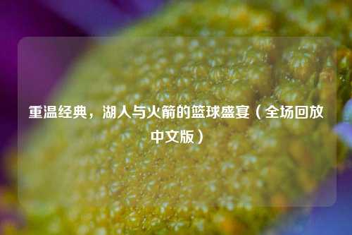 重温经典,湖人与火箭的篮球盛宴(全场回放中文版)