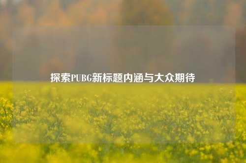 探索PUBG新标题内涵与大众期待