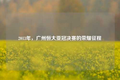 2013年,广州恒大亚冠决赛的荣耀征程
