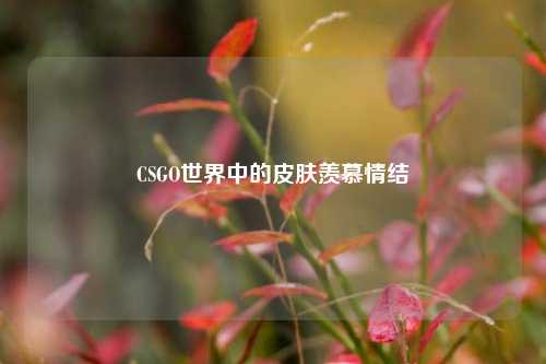 CSGO世界中的皮肤羡慕情结