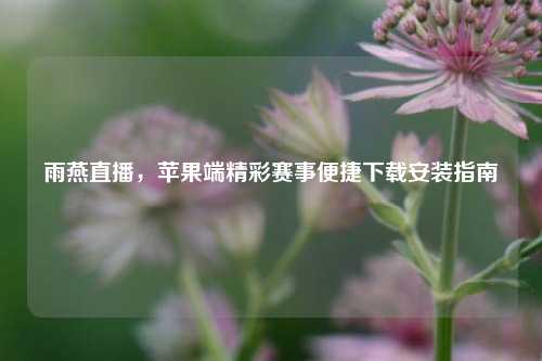 雨燕直播,苹果端精彩赛事便捷下载安装指南