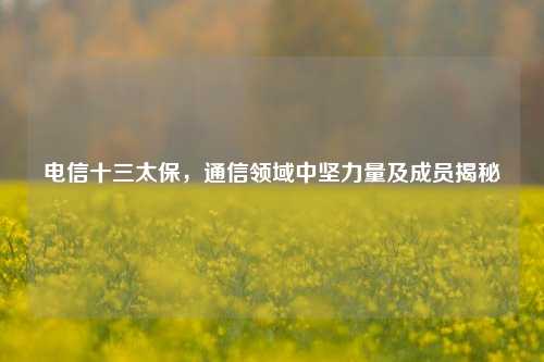 电信十三太保，通信领域中坚力量及成员揭秘