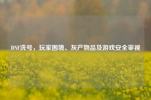 DNF洗号,玩家困境、灰产物品及游戏安全审视