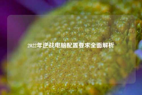 2022年逆战电脑配置要求全面解析