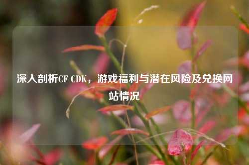 深入剖析CF CDK，游戏福利与潜在风险及兑换网站情况
