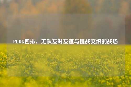PUBG四排，无队友时友谊与挑战交织的战场