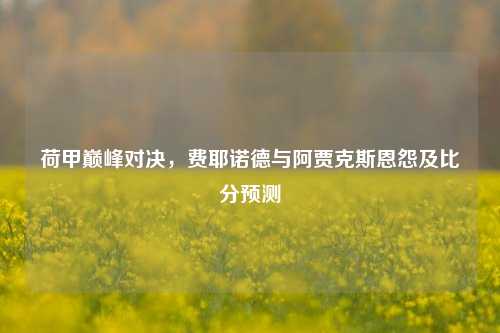 荷甲巅峰对决,费耶诺德与阿贾克斯恩怨及比分预测