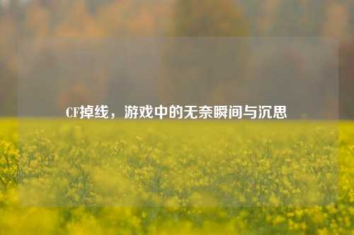 CF掉线，游戏中的无奈瞬间与沉思