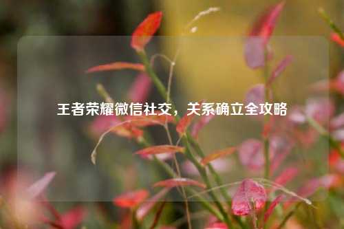 王者荣耀微信社交，关系确立全攻略