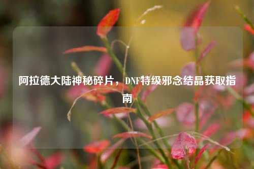 阿拉德大陆神秘碎片,DNF特级邪念结晶获取指南