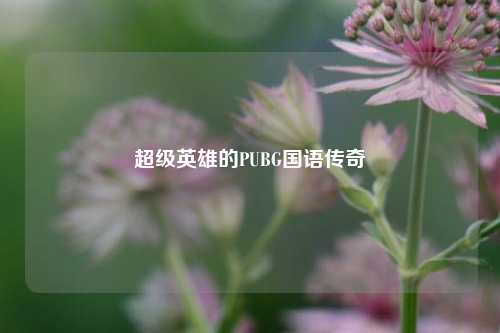 超级英雄的PUBG国语传奇