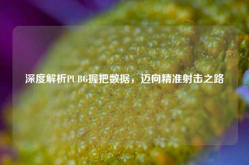 深度解析PUBG握把数据，迈向精准射击之路