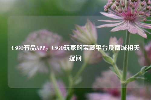 CSGO有品APP,CSGO玩家的宝藏平台及商城相关疑问