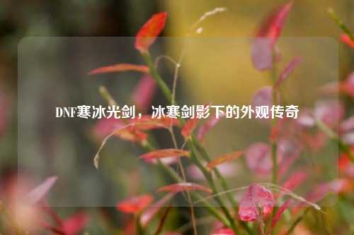 DNF寒冰光剑,冰寒剑影下的外观传奇