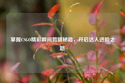 掌握CSGO精彩瞬间剪辑秘籍，开启达人进阶之路