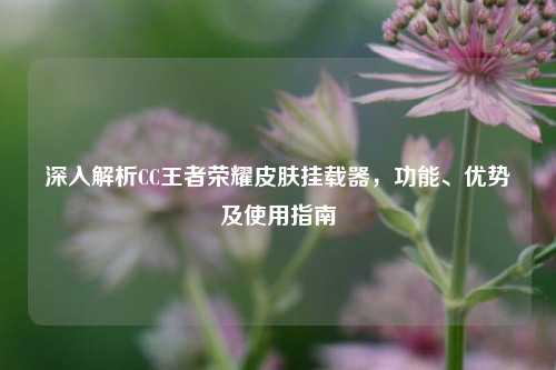 深入解析CC王者荣耀皮肤挂载器,功能、优势及使用指南
