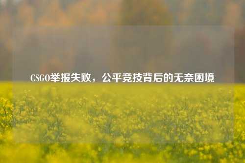 CSGO举报失败,公平竞技背后的无奈困境