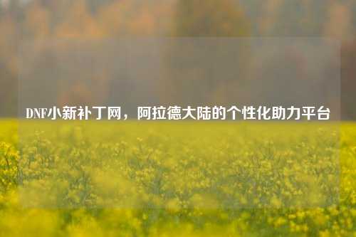 DNF小新补丁网,阿拉德大陆的个性化助力平台