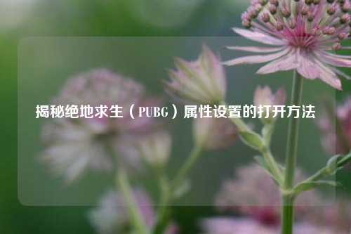 揭秘绝地求生（PUBG）属性设置的打开方法