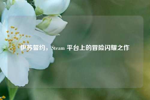 伊苏誓约，Steam 平台上的冒险闪耀之作