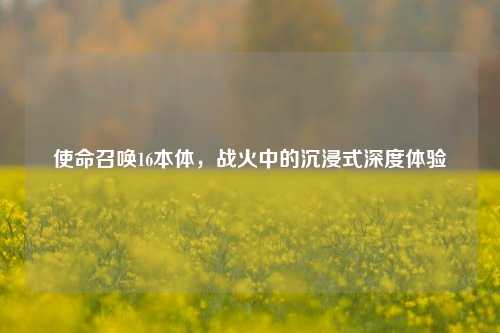 使命召唤16本体，战火中的沉浸式深度体验
