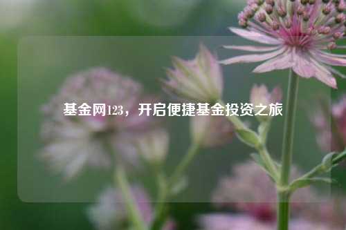 基金网123，开启便捷基金投资之旅