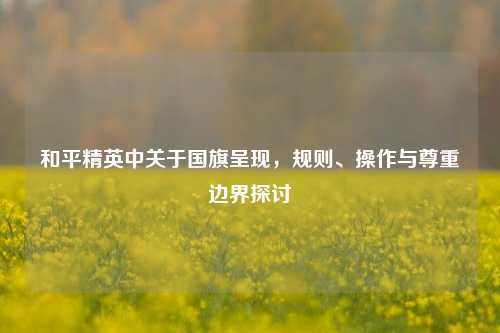和平精英中关于国旗呈现，规则、操作与尊重边界探讨