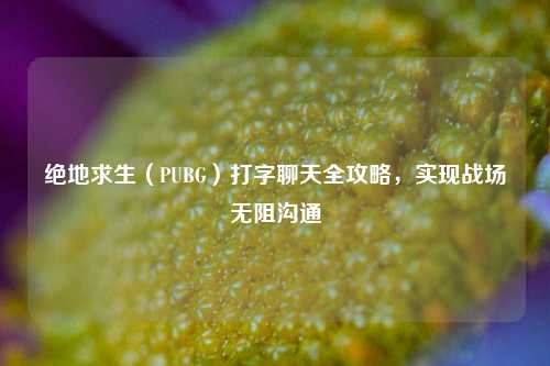 绝地求生（PUBG）打字聊天全攻略，实现战场无阻沟通