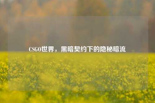 CSGO世界,黑暗契约下的隐秘暗流
