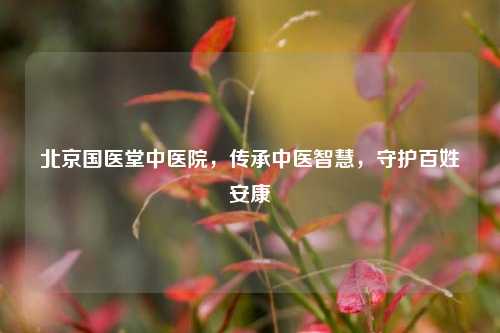 北京国医堂中医院,传承中医智慧,守护百姓安康