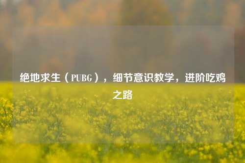 绝地求生(PUBG),细节意识教学,进阶吃鸡之路