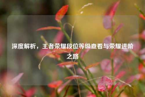 深度解析,王者荣耀段位等级查看与荣耀进阶之路