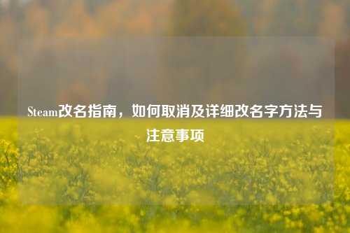 Steam改名指南，如何取消及详细改名字方法与注意事项