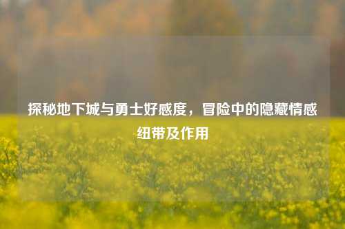 探秘地下城与勇士好感度,冒险中的隐藏情感纽带及作用