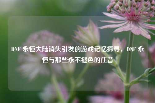 DNF 永恒大陆消失引发的游戏记忆探寻，DNF 永恒与那些永不褪色的往昔