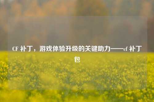 CF 补丁,游戏体验升级的关键助力——cf 补丁包