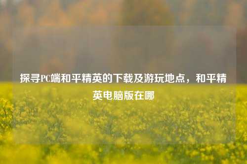 探寻PC端和平精英的下载及游玩地点,和平精英电脑版在哪