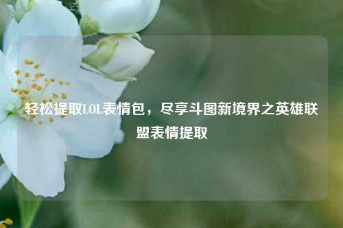 轻松提取LOL表情包,尽享斗图新境界之英雄联盟表情提取