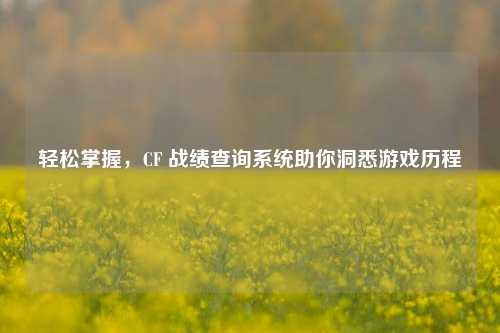 轻松掌握,CF 战绩查询系统助你洞悉游戏历程