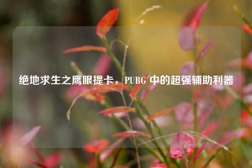 绝地求生之鹰眼提卡,PUBG 中的超强辅助利器